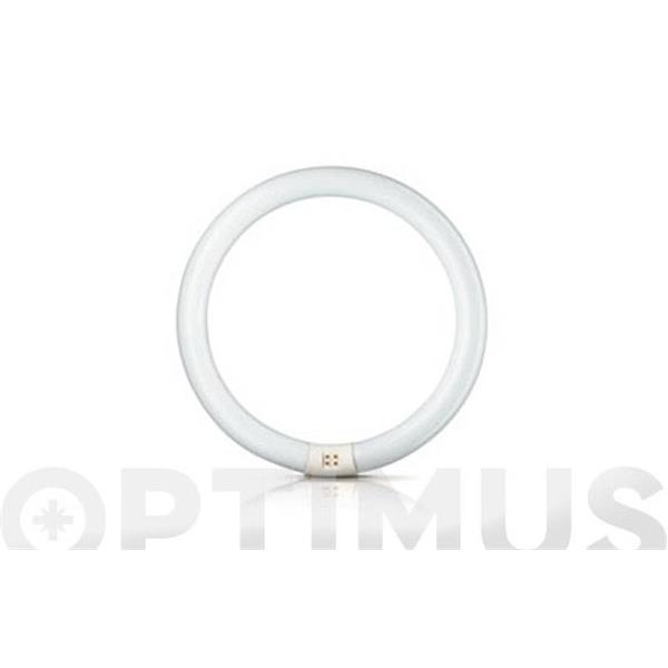 FLUORESCENTE CIRCULAR