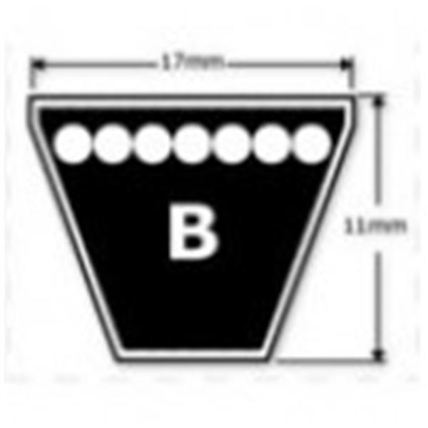 CORREA B 209