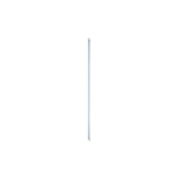 TUBO FLUORESCENTE LED 18W 1850LM 120CM 6500K T8 G13