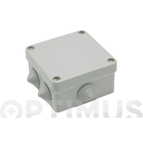 CAJA ESTANCA 100X100X55 CON CONOS