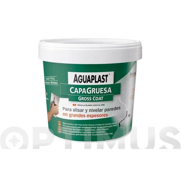 AGUAPLAST CAPA GRUESA  EN PAST 1KG (UN1)