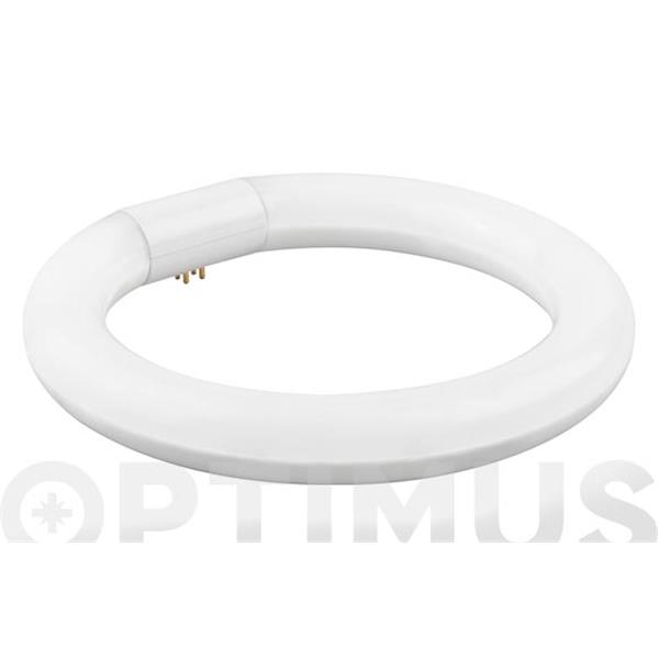 TUBO FLUORESCENTE LED CIRCULAR T-9 30CM LUZ FRIA 20W